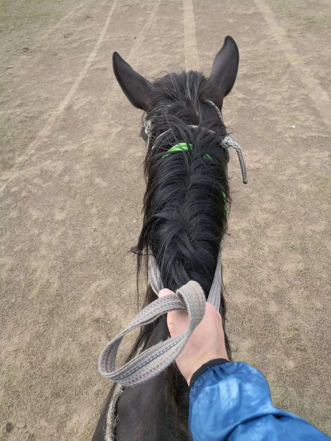 找已婚陪伴搭子
