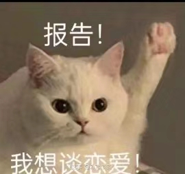 找逛街搭子