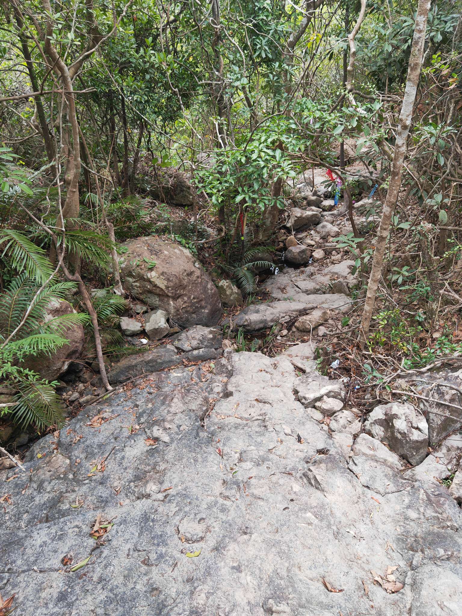 找徒步健身搭子