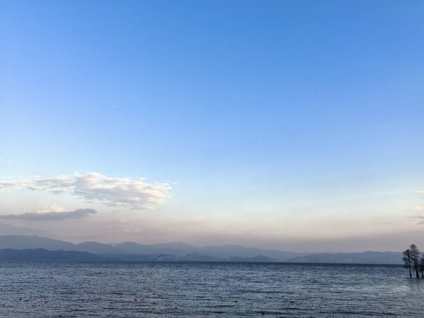 找旅游搭子