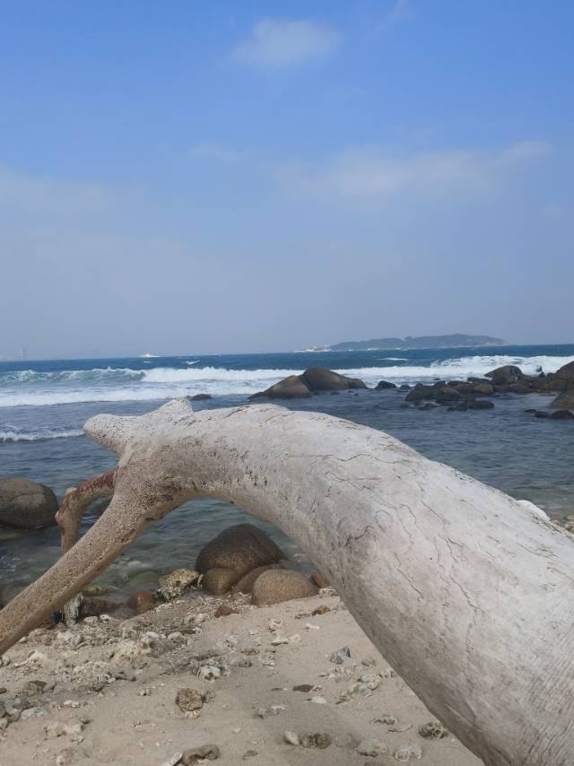 找活泼可爱搭子