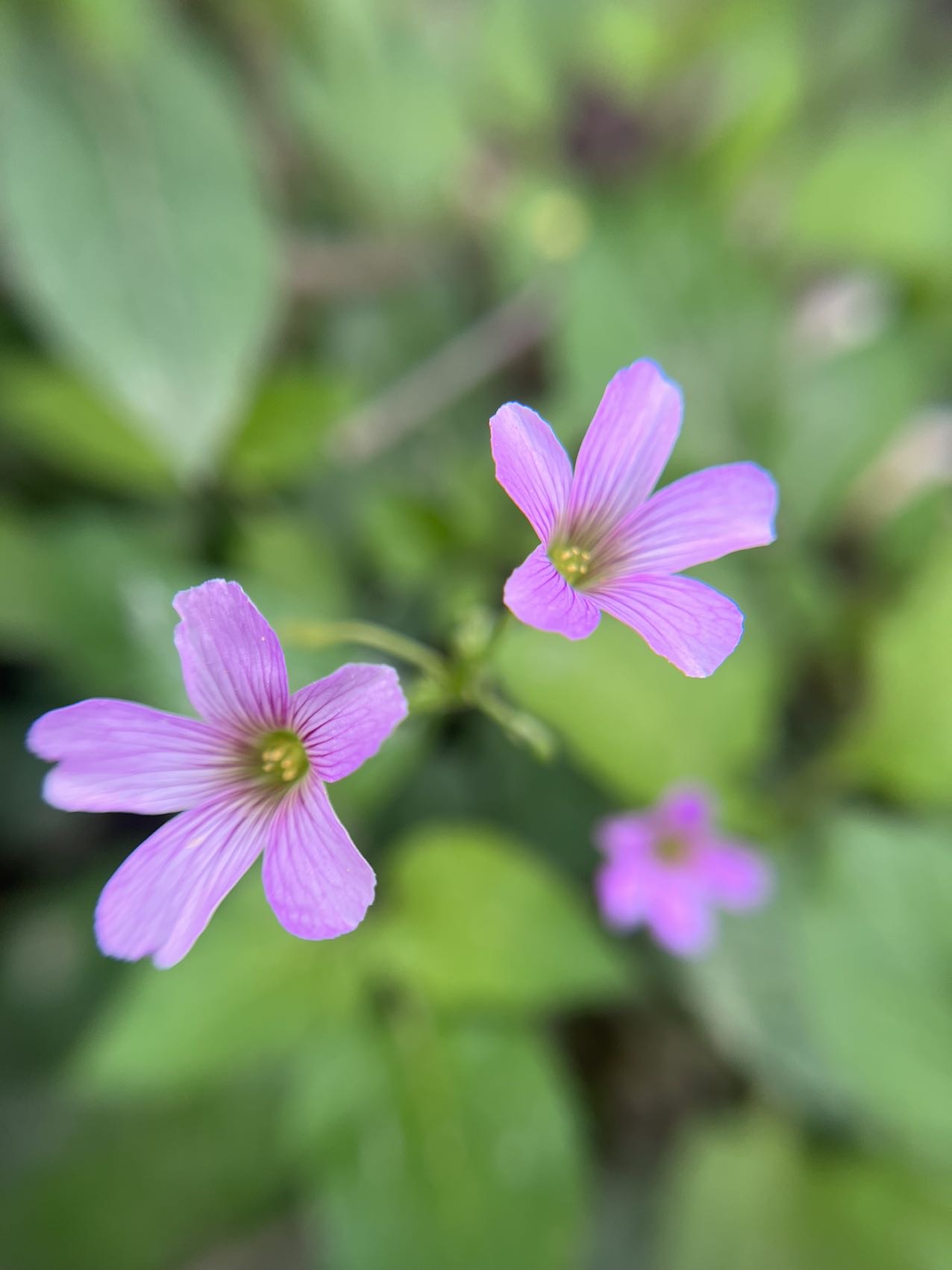 找聊天陪伴倾诉情感搭子