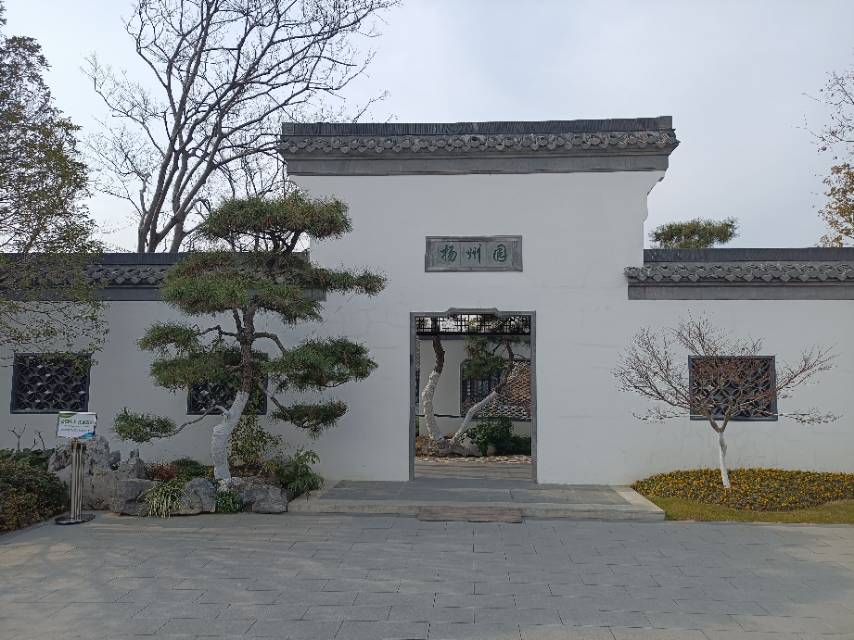 找旅游搭子
