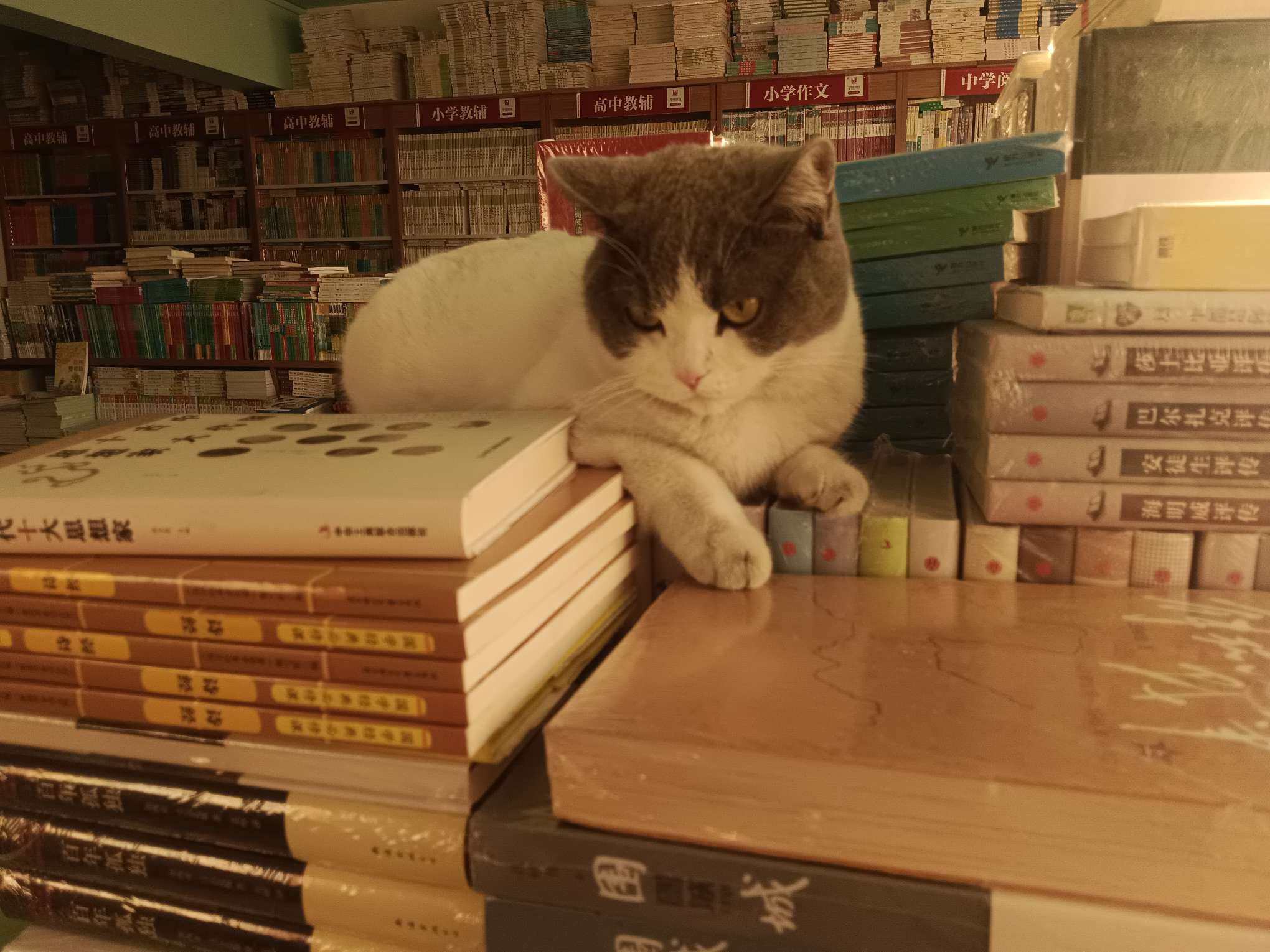 找三观正性格好搭子