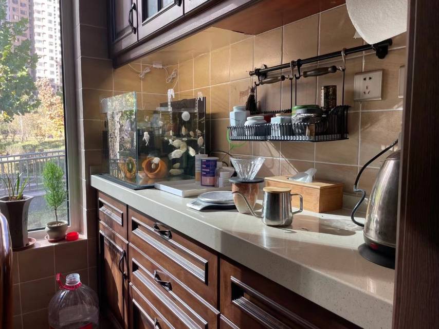 找美食打卡搭子