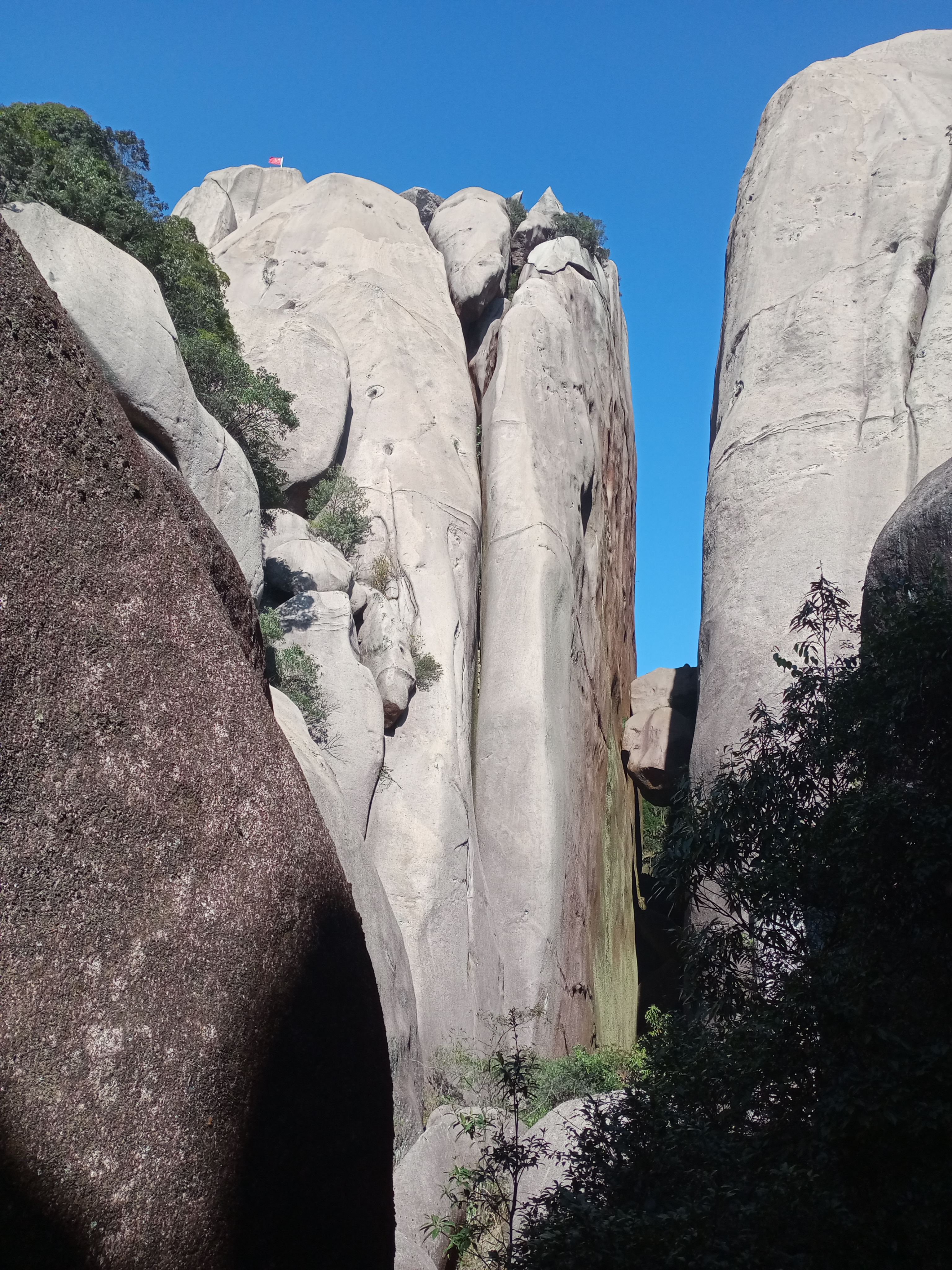 找吃饭聊天散步搭子