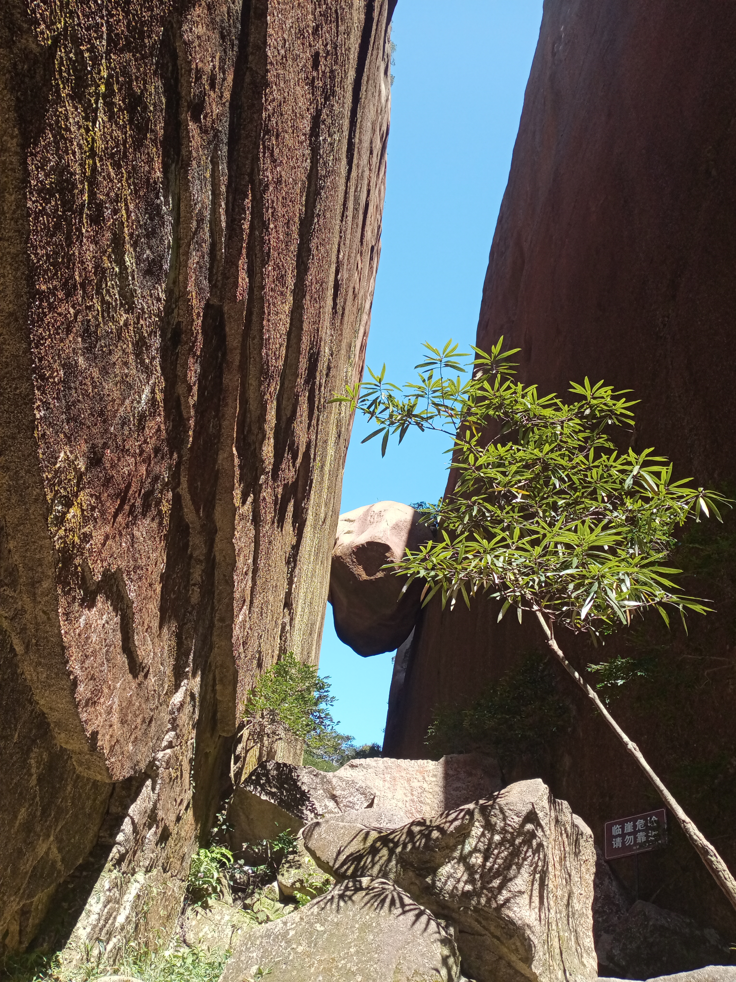 找吃饭聊天散步搭子