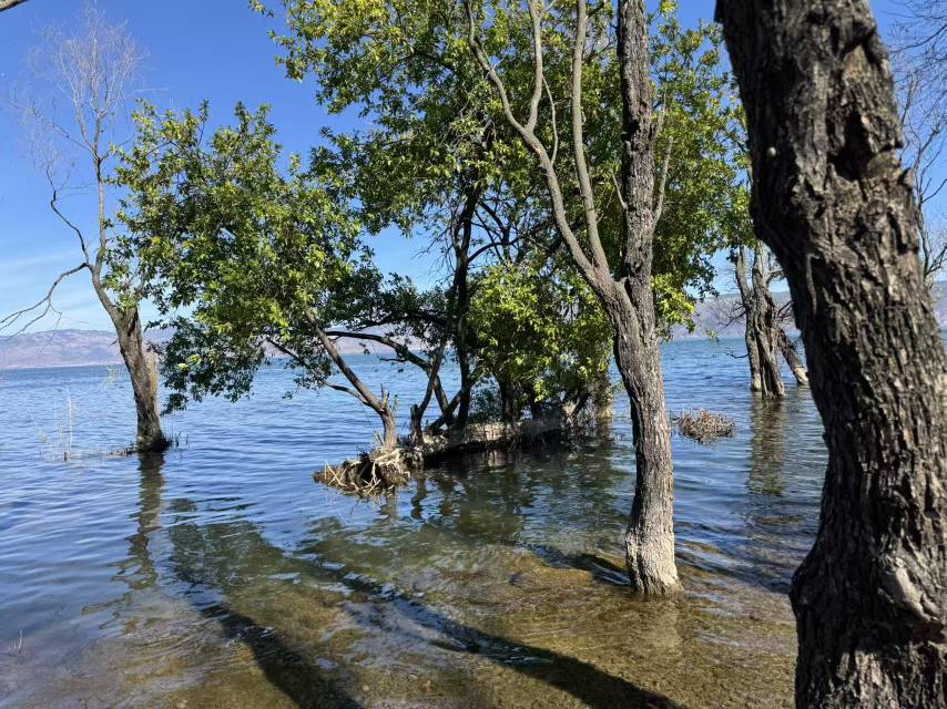 找远行游戏搭子