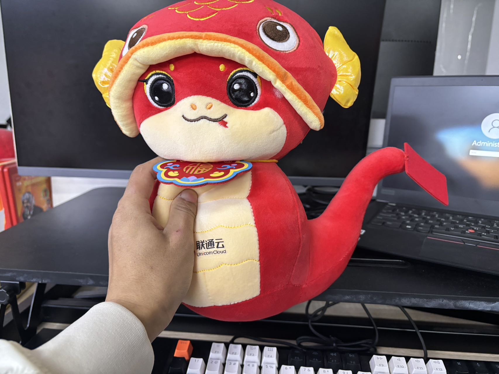 找游玩搭子