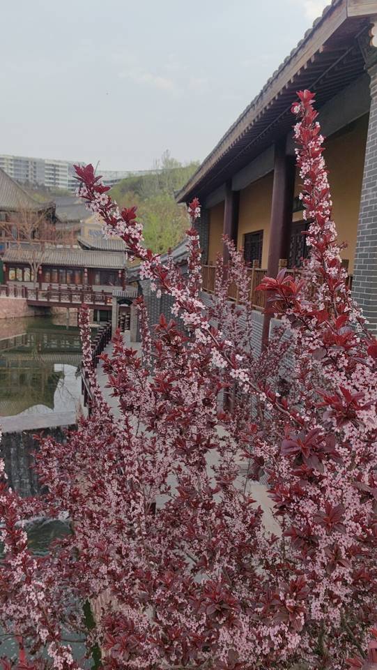 找台球或者自驾游搭子