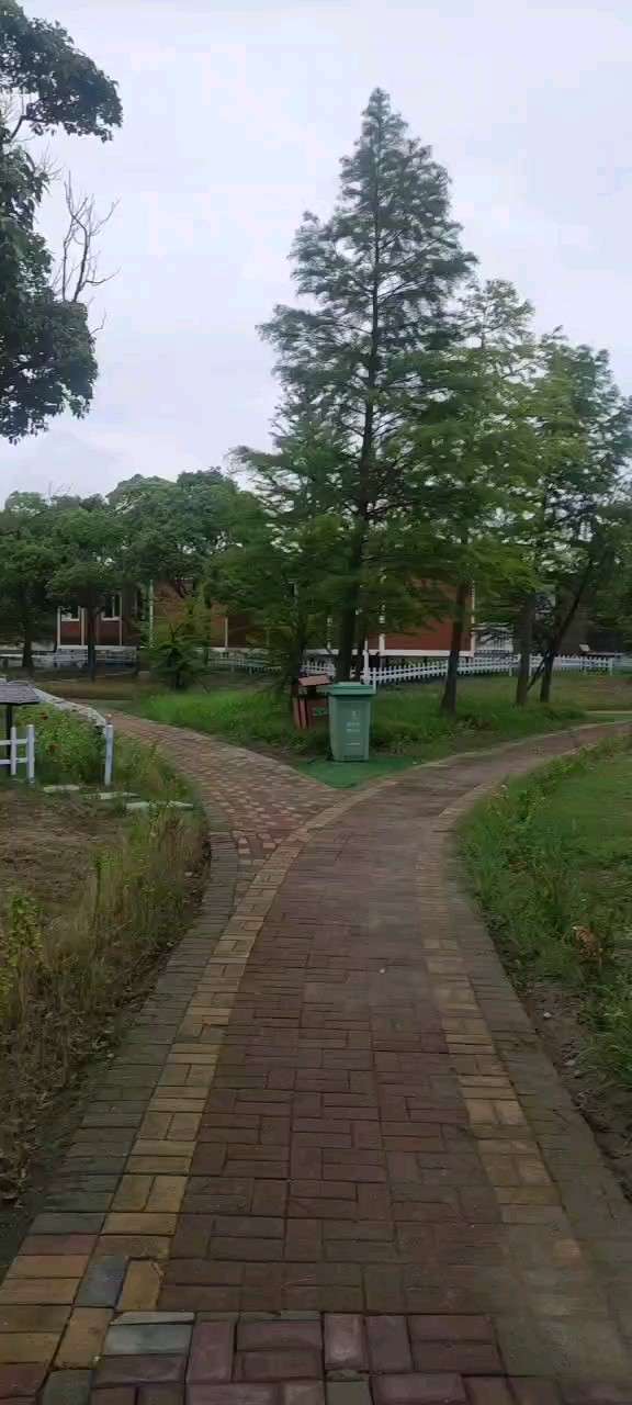 找旅行搭子