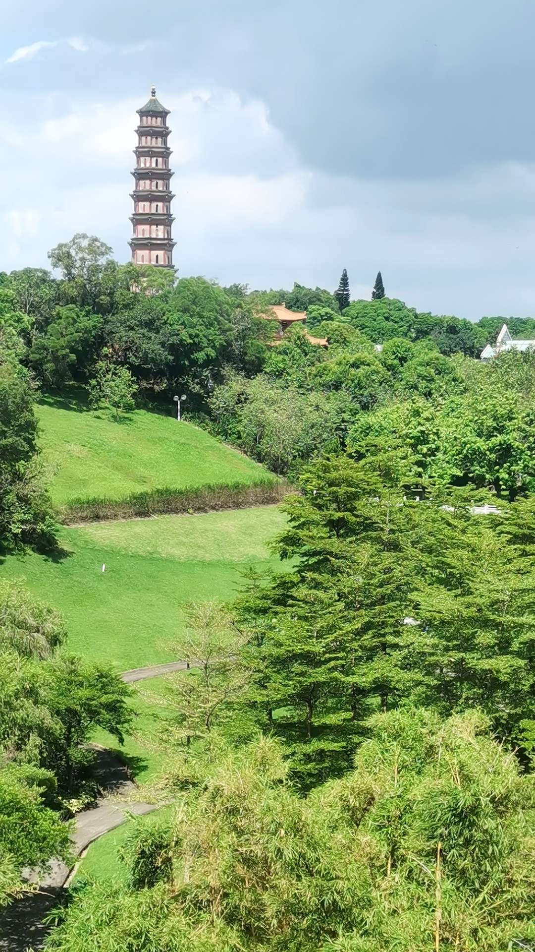 找看书打游戏搭子