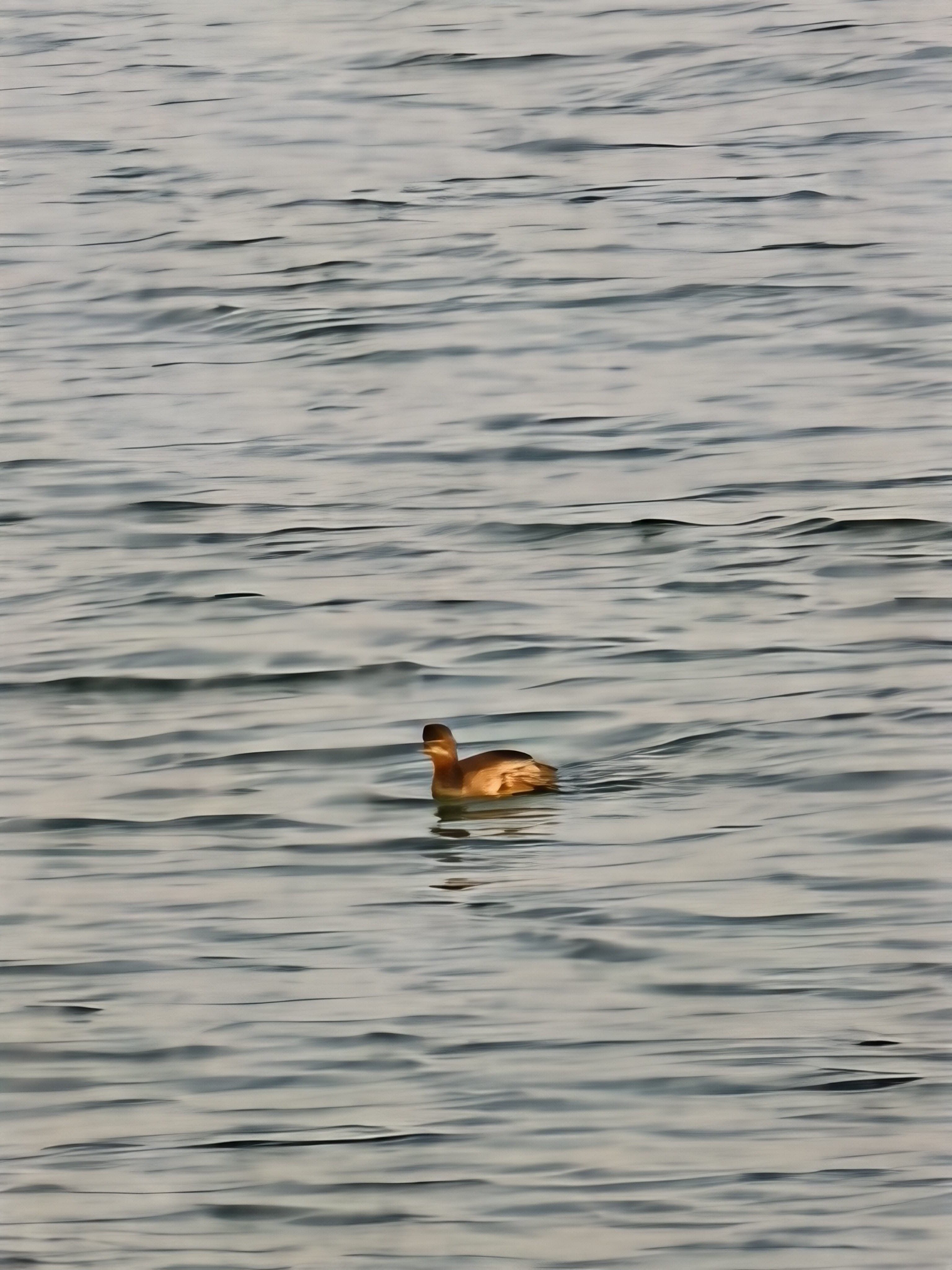 找打发时间搭子