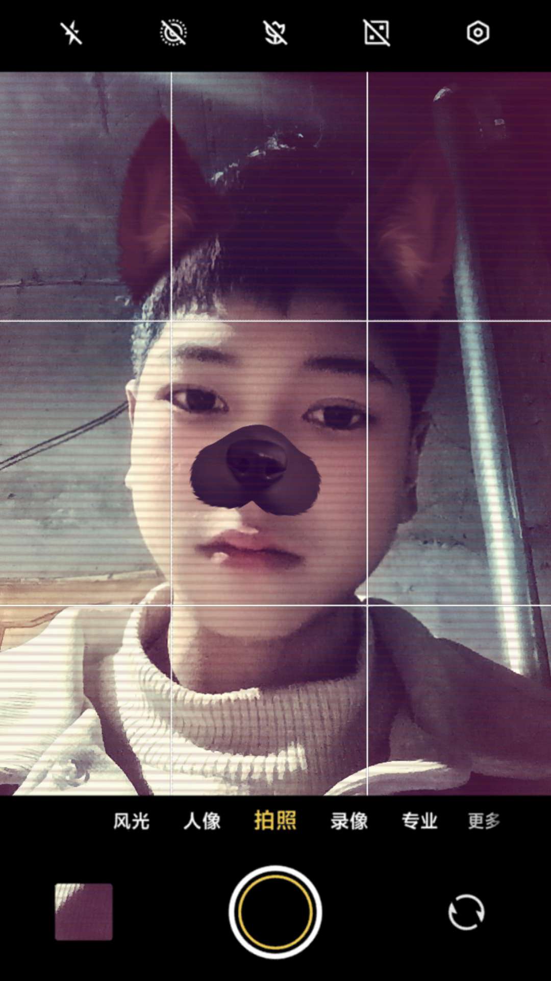 找真心谈恋爱的搭子