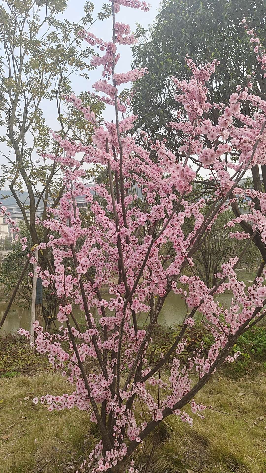 找运动聊天搭子