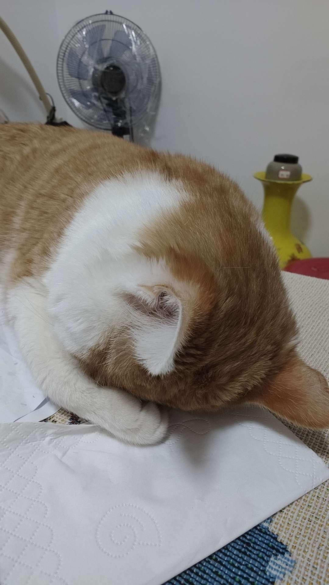 找运动聊天搭子