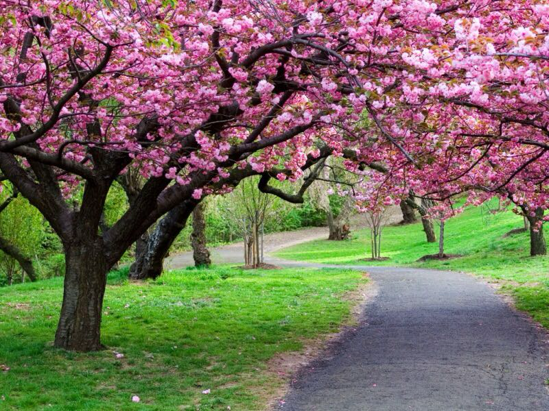 找心灵共鸣搭子