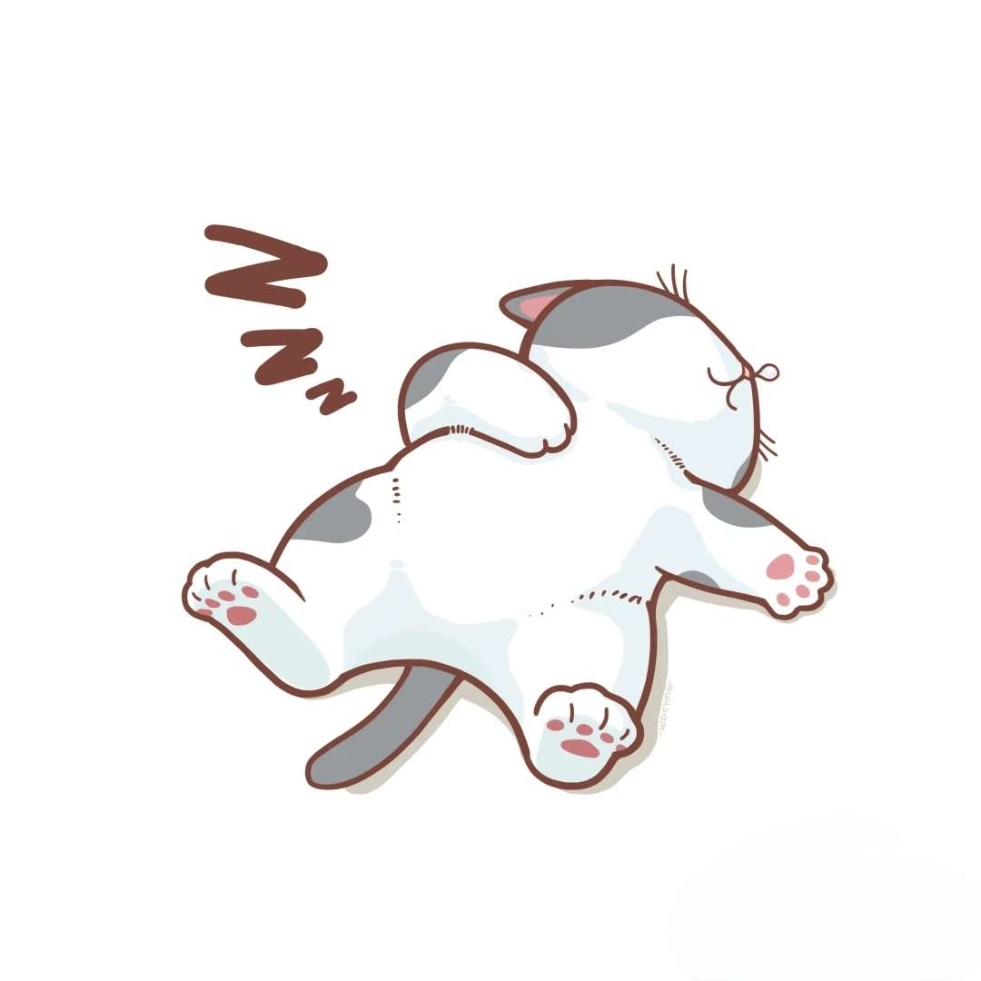 找聊天学习搭子