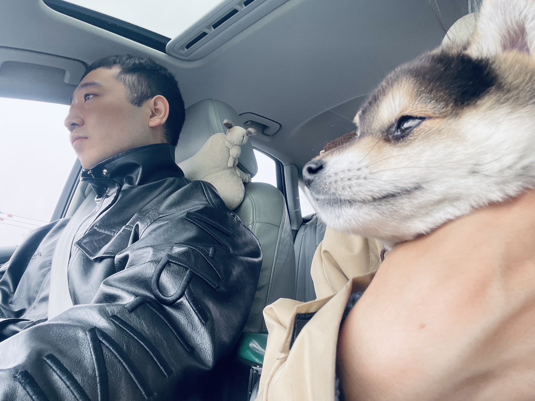 找打台球搭子