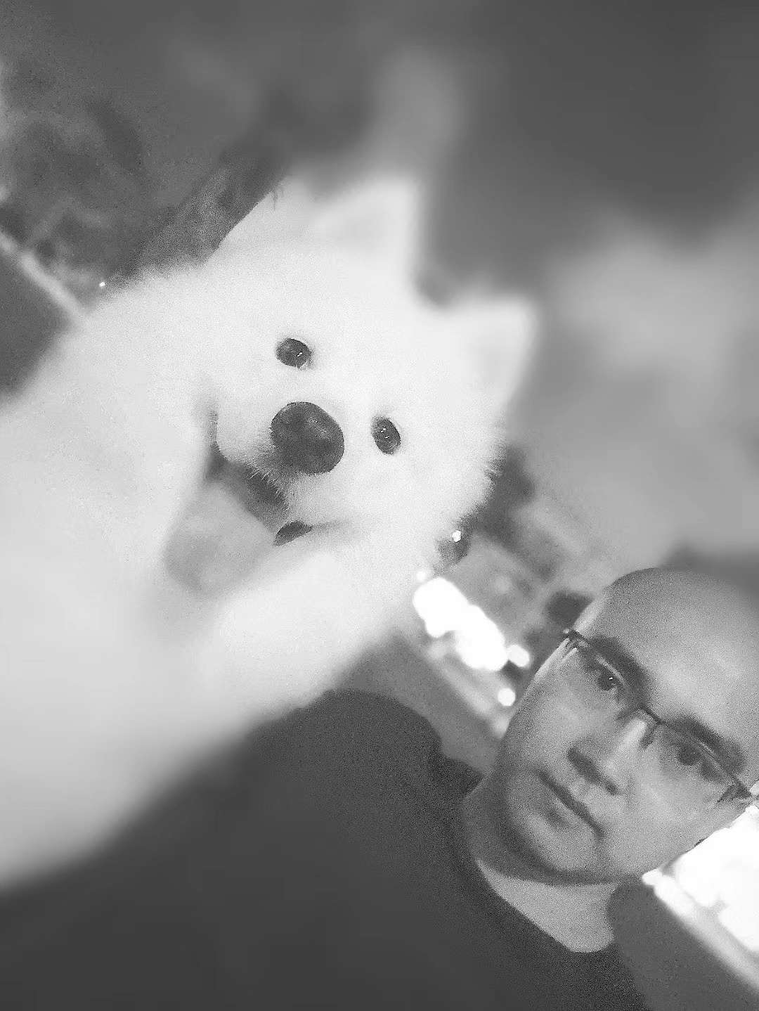 找日常生活搭子