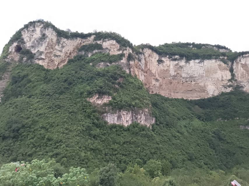 找创业搭子