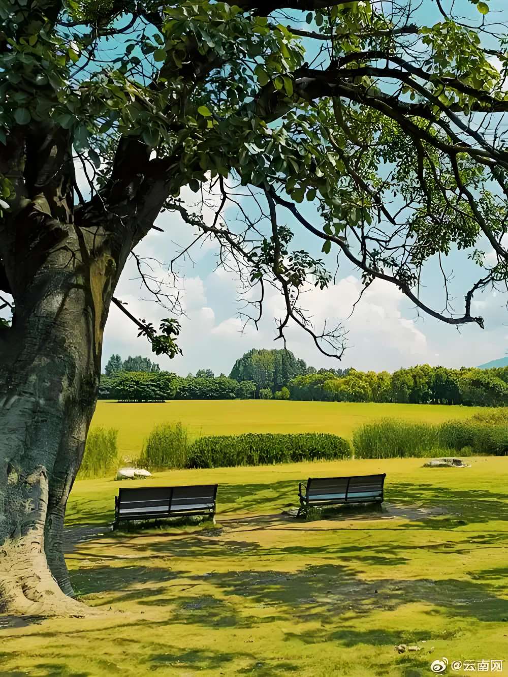 找运动休闲搭子