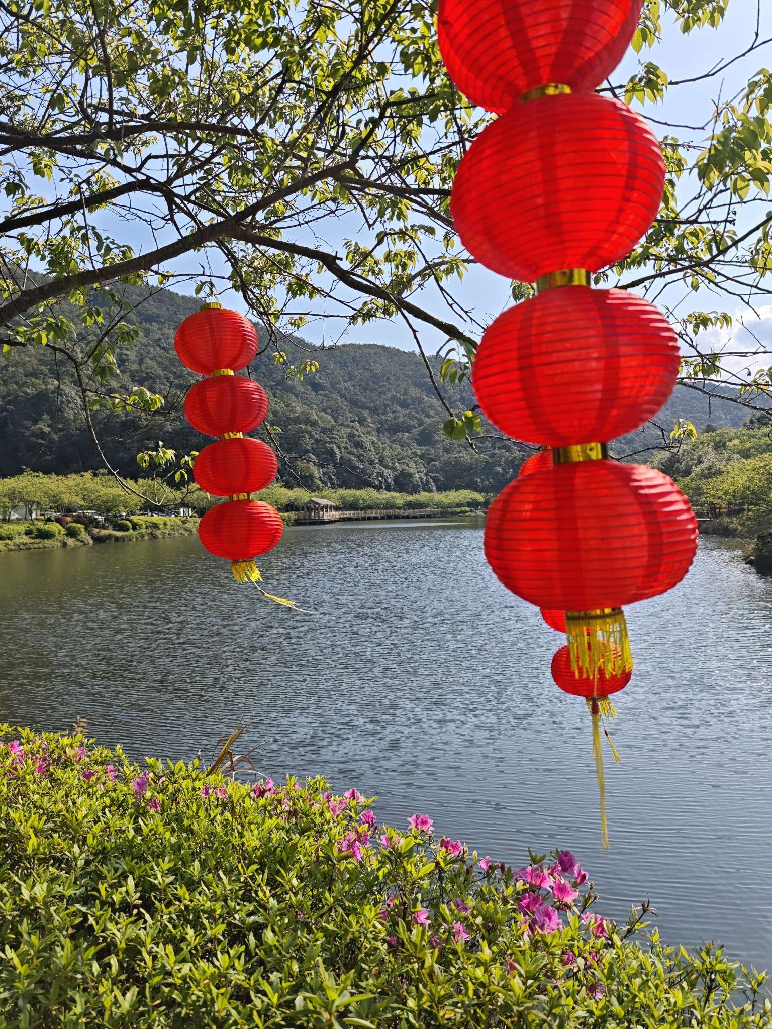 找志同道合的搭子