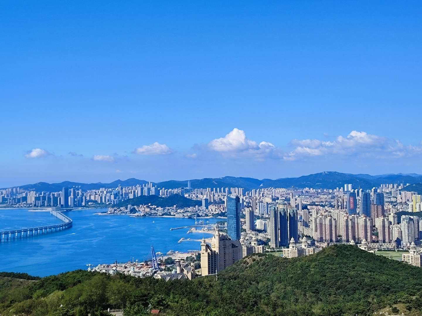 找朋友搭子