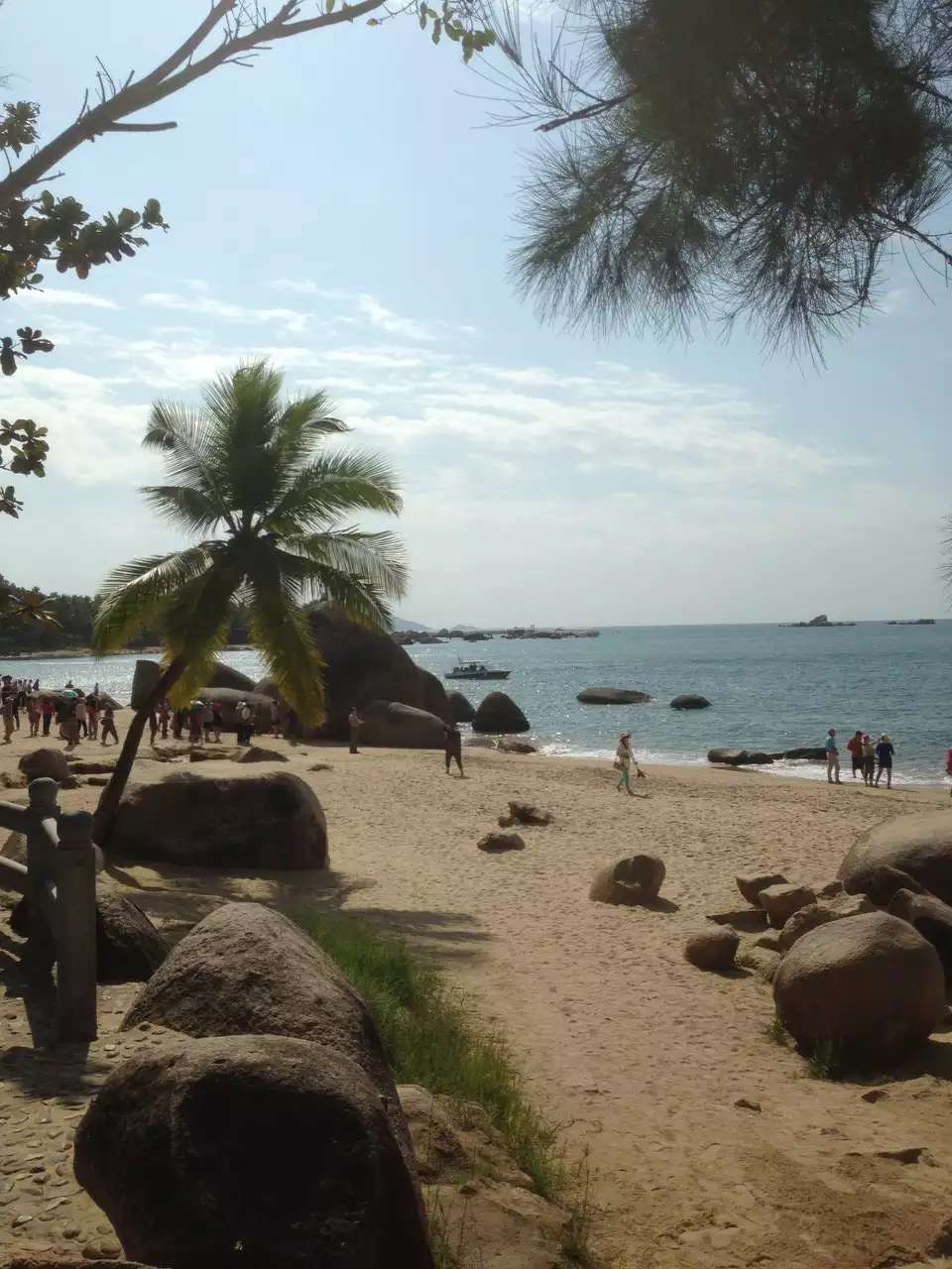 找运动吃饭搭子