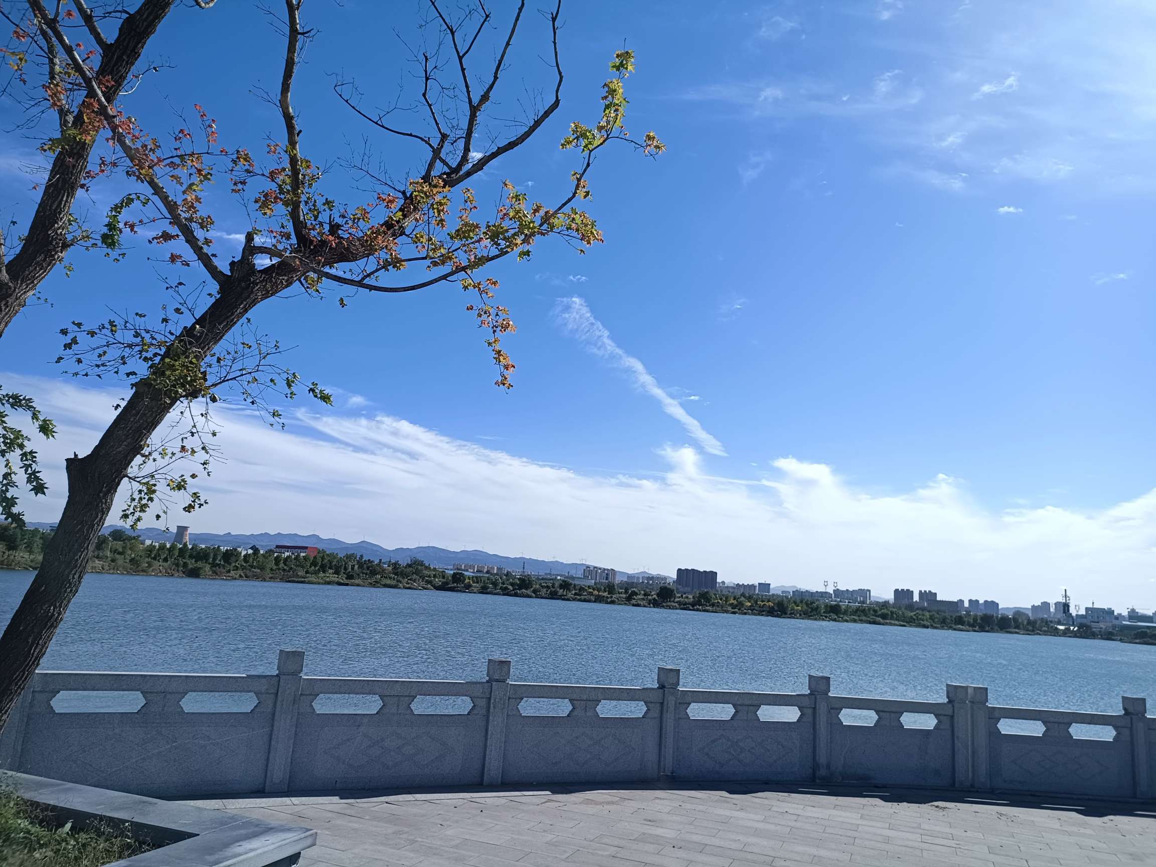 找运动吃饭搭子