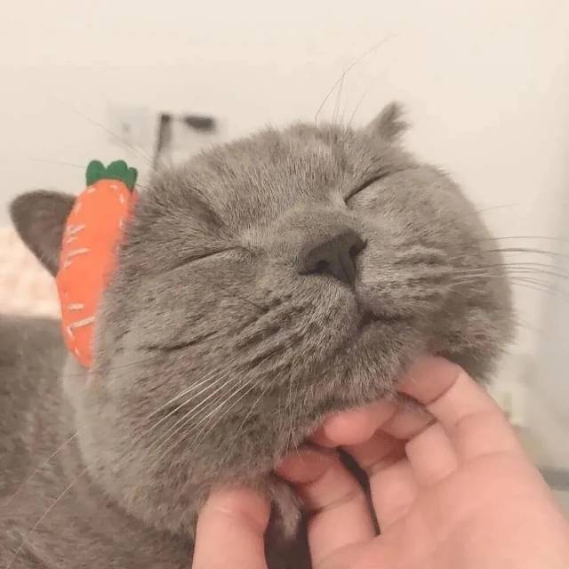 找散步搭子