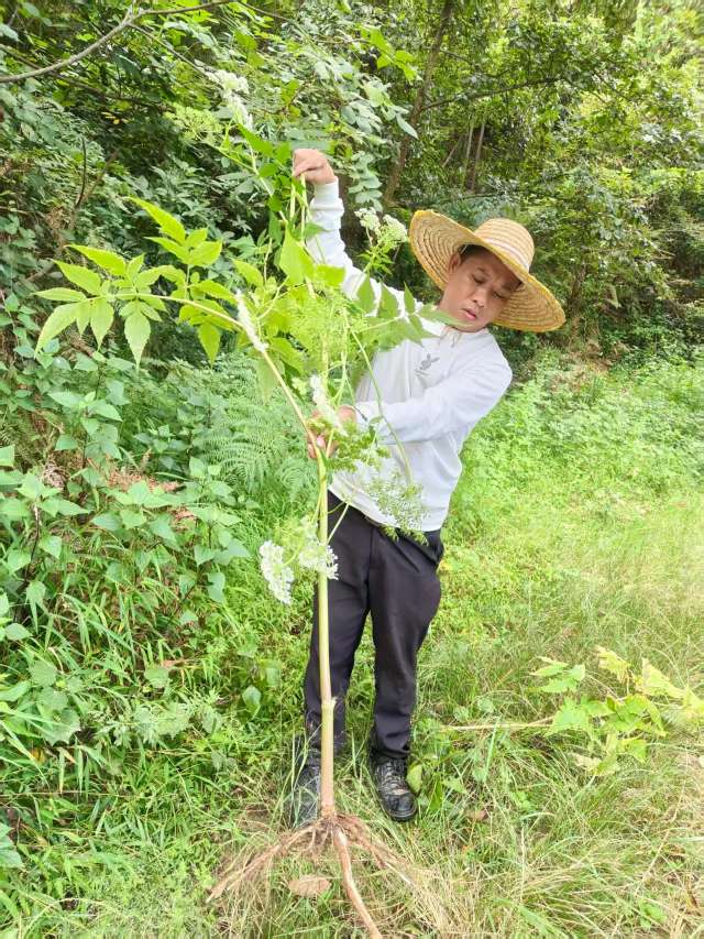 找性格开朗做事稳搭子