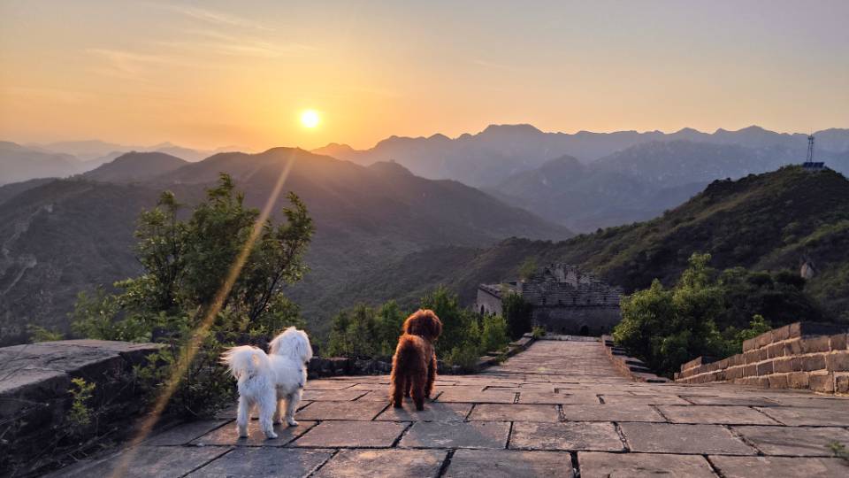 找旅行玩乐搭子