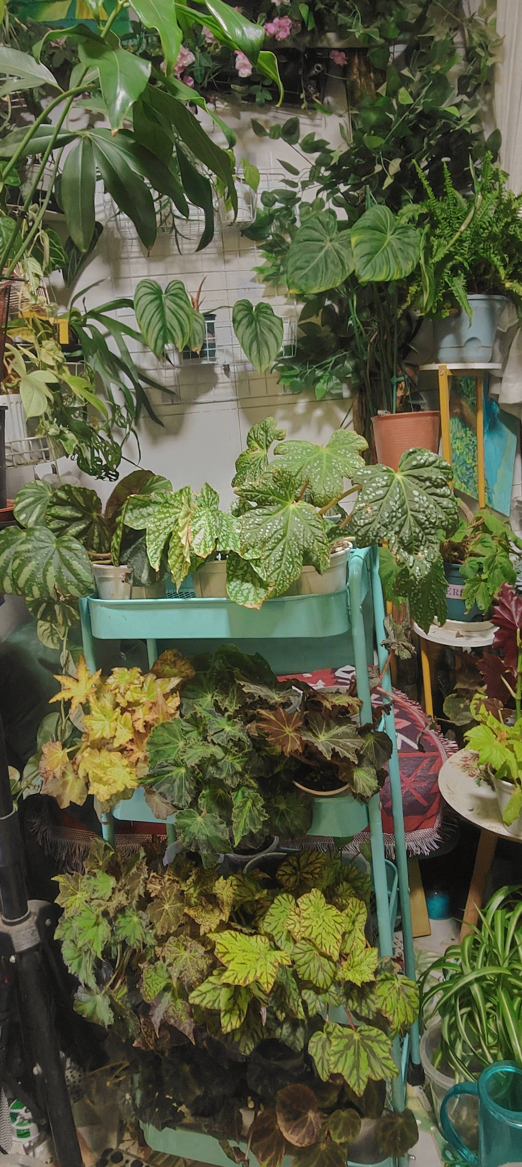 找旅行玩乐搭子