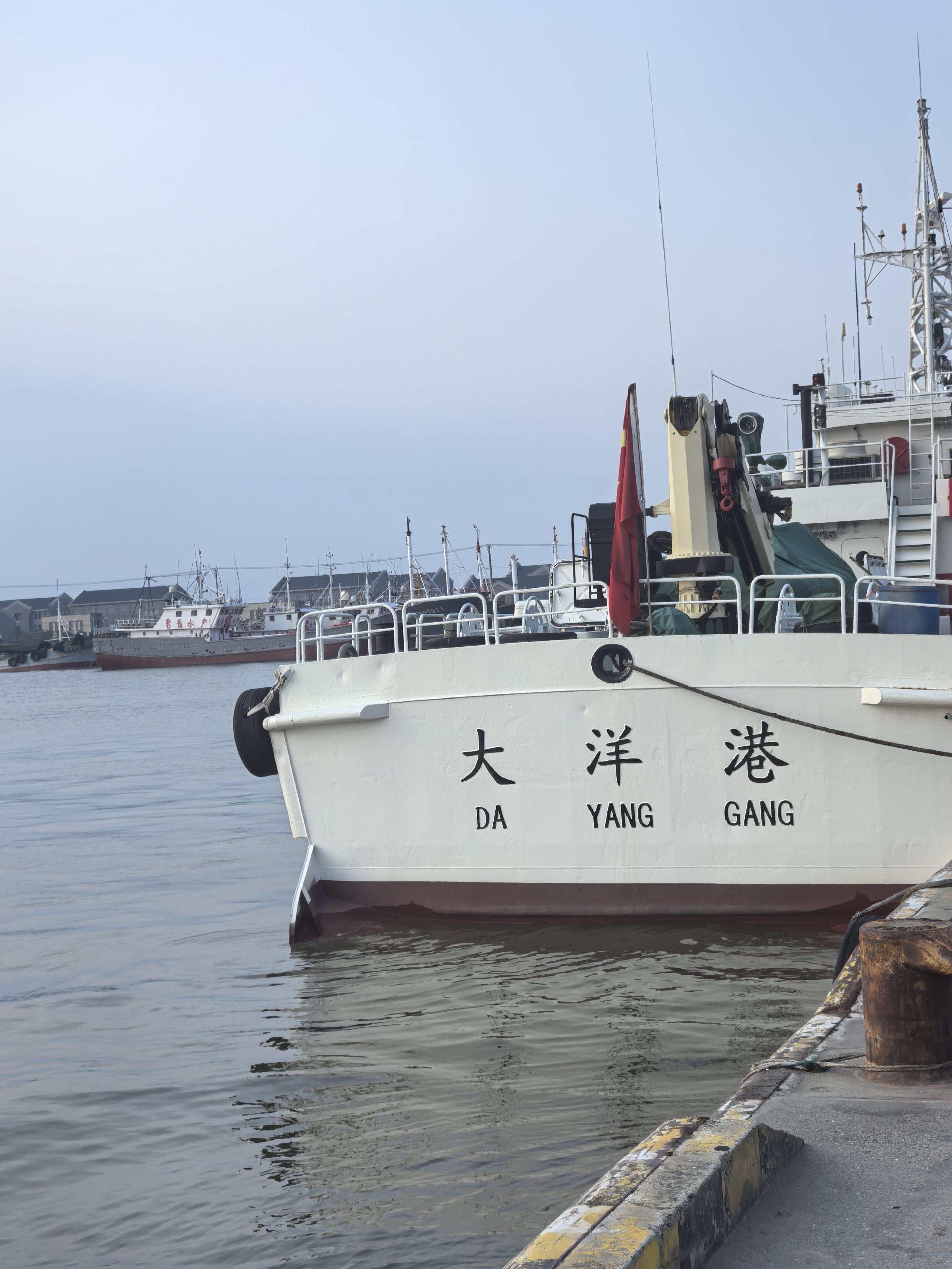 找旅游吃饭陪伴搭子