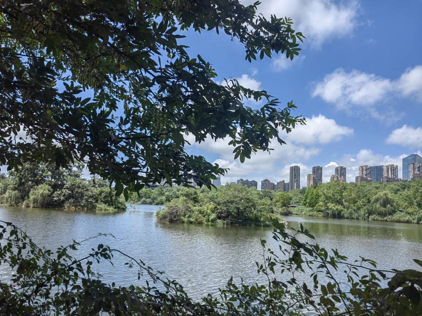 找运动跑步搭子