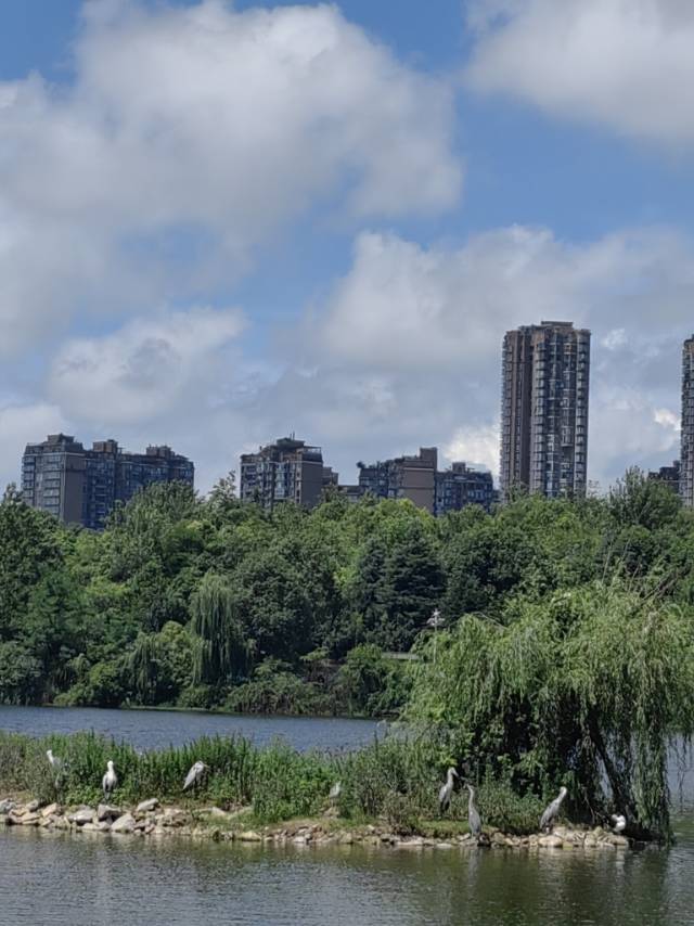 找运动跑步搭子