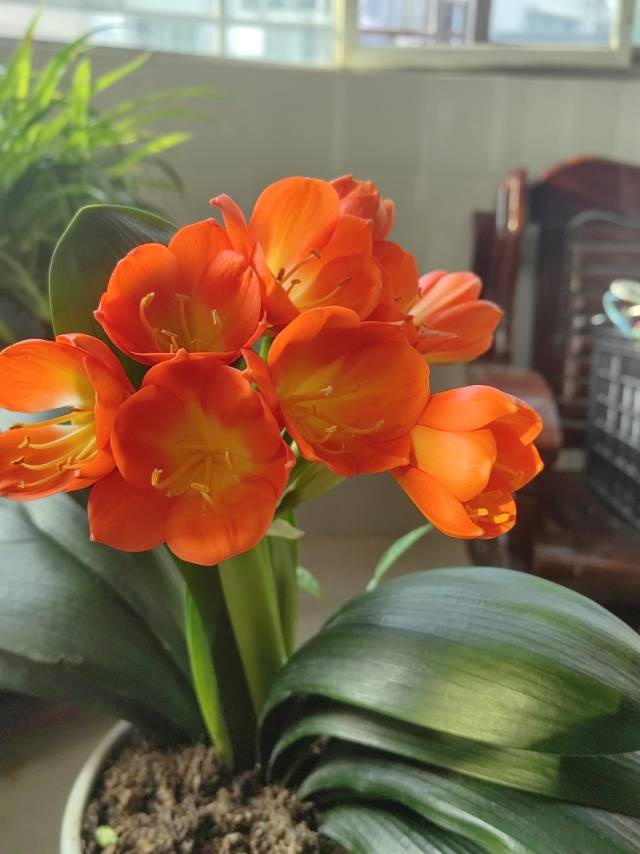 找运动跑步搭子