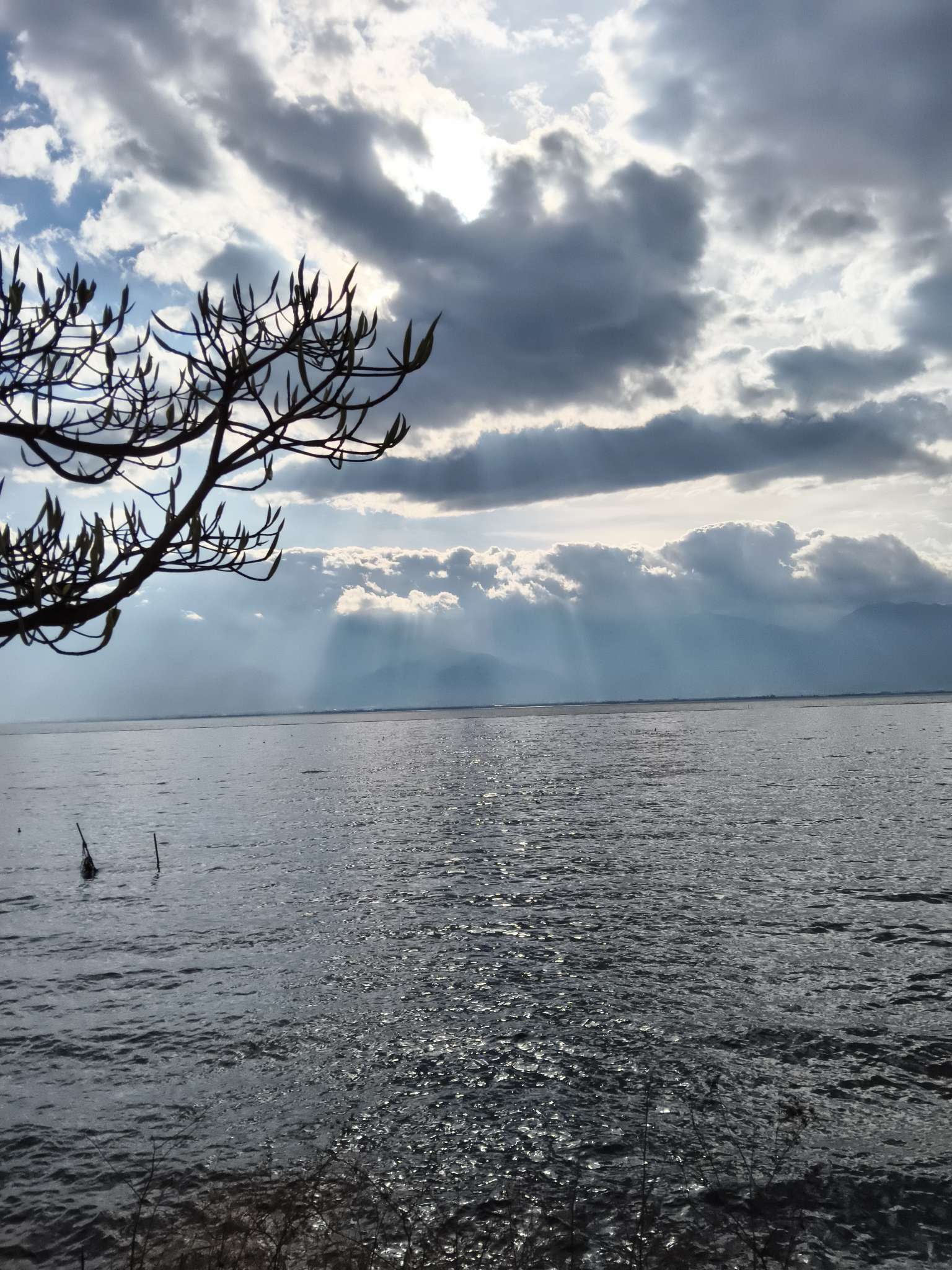 找需要陪吃喝玩乐的搭子