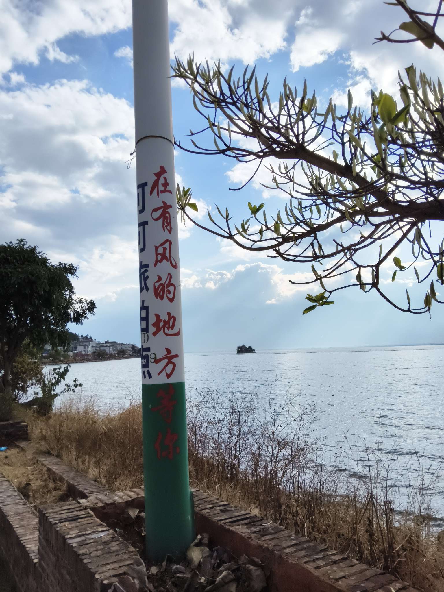 找需要陪吃喝玩乐的搭子