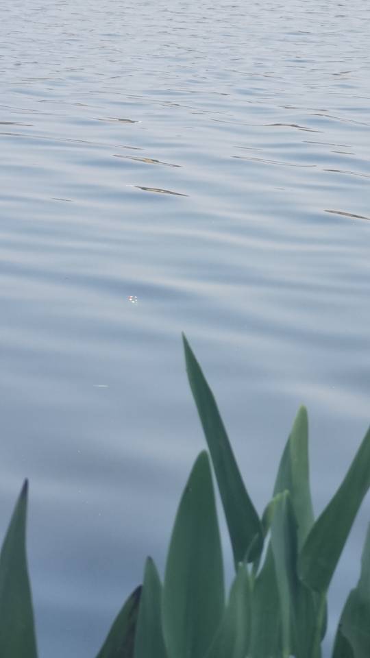 找钓鱼台球搭子