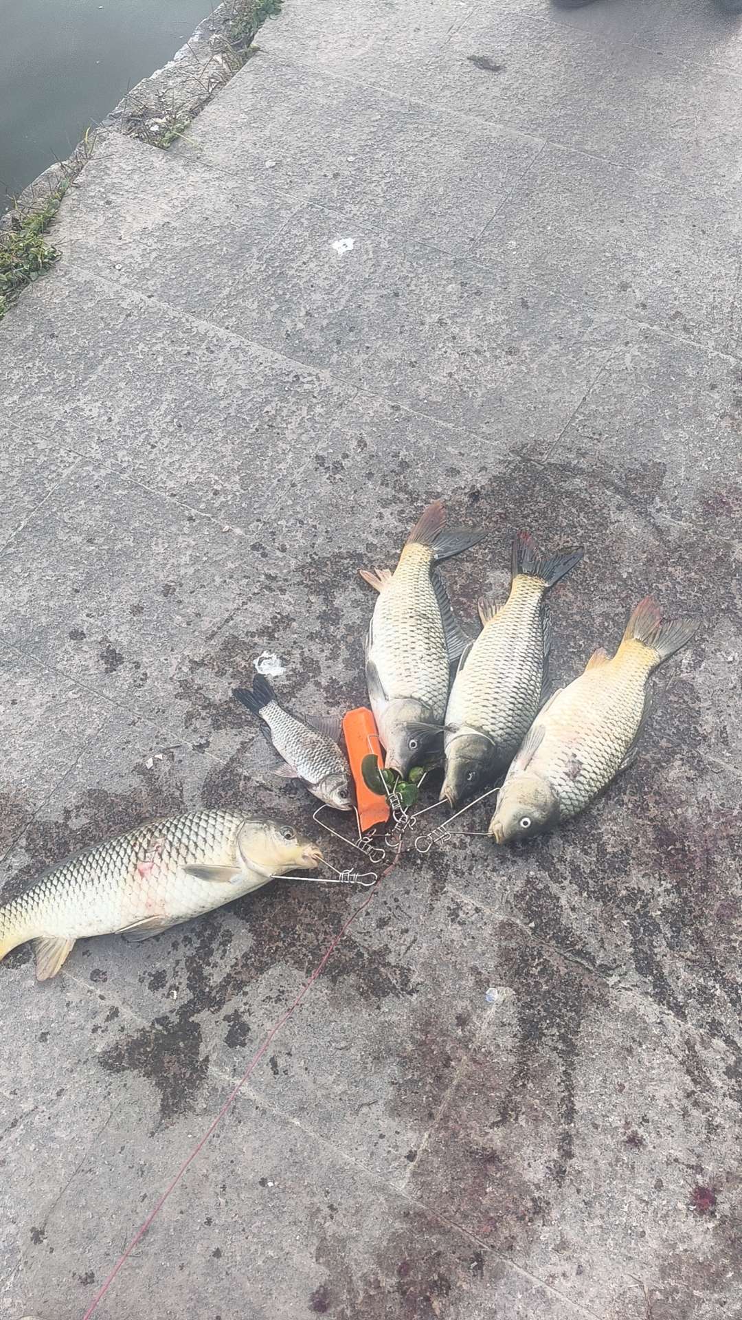 找运动钓鱼跑步搭子