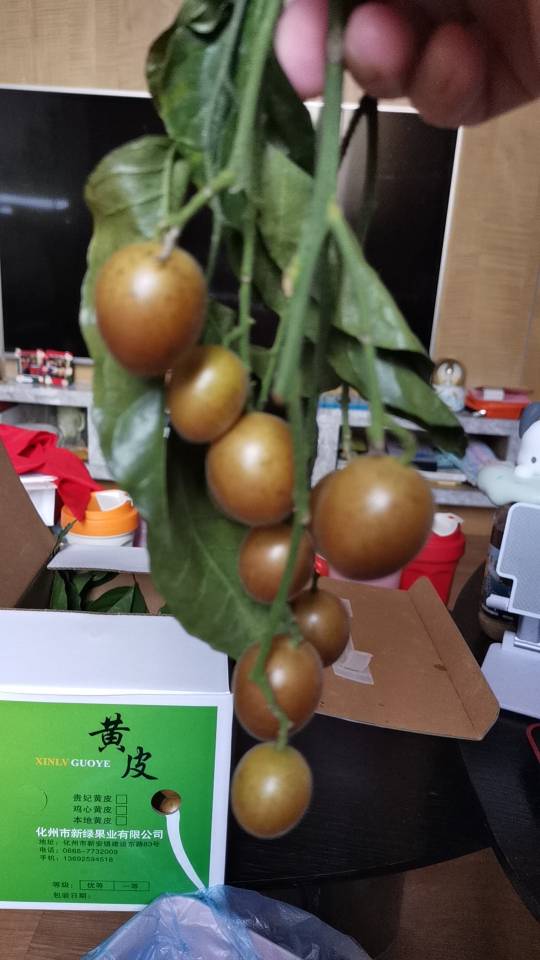 找吃饭搭子