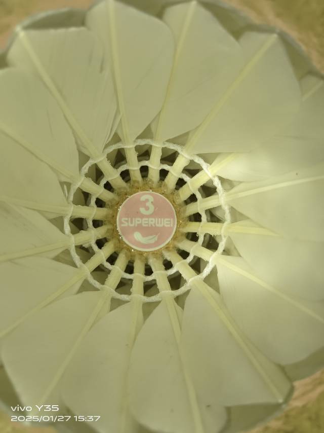 找羽毛球搭子
