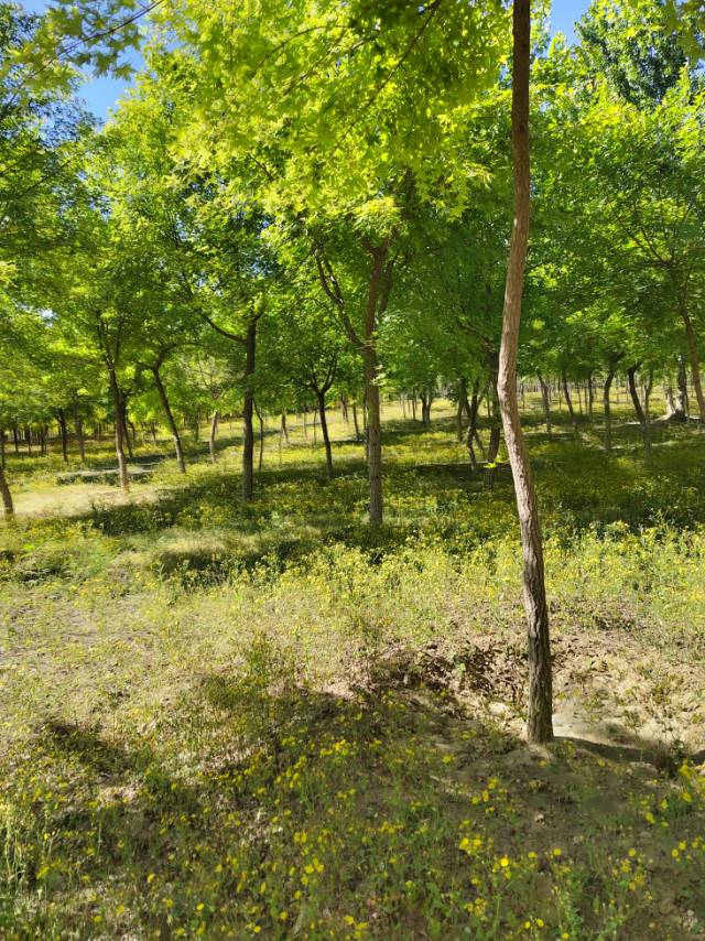 找逛街图书馆学习搭子