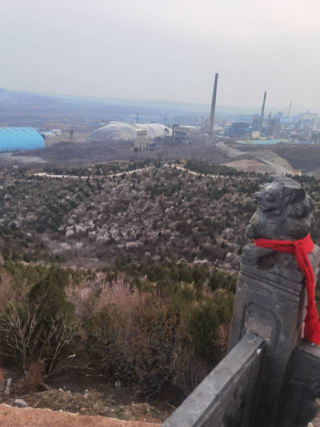 找逛街吃饭聊天搭子