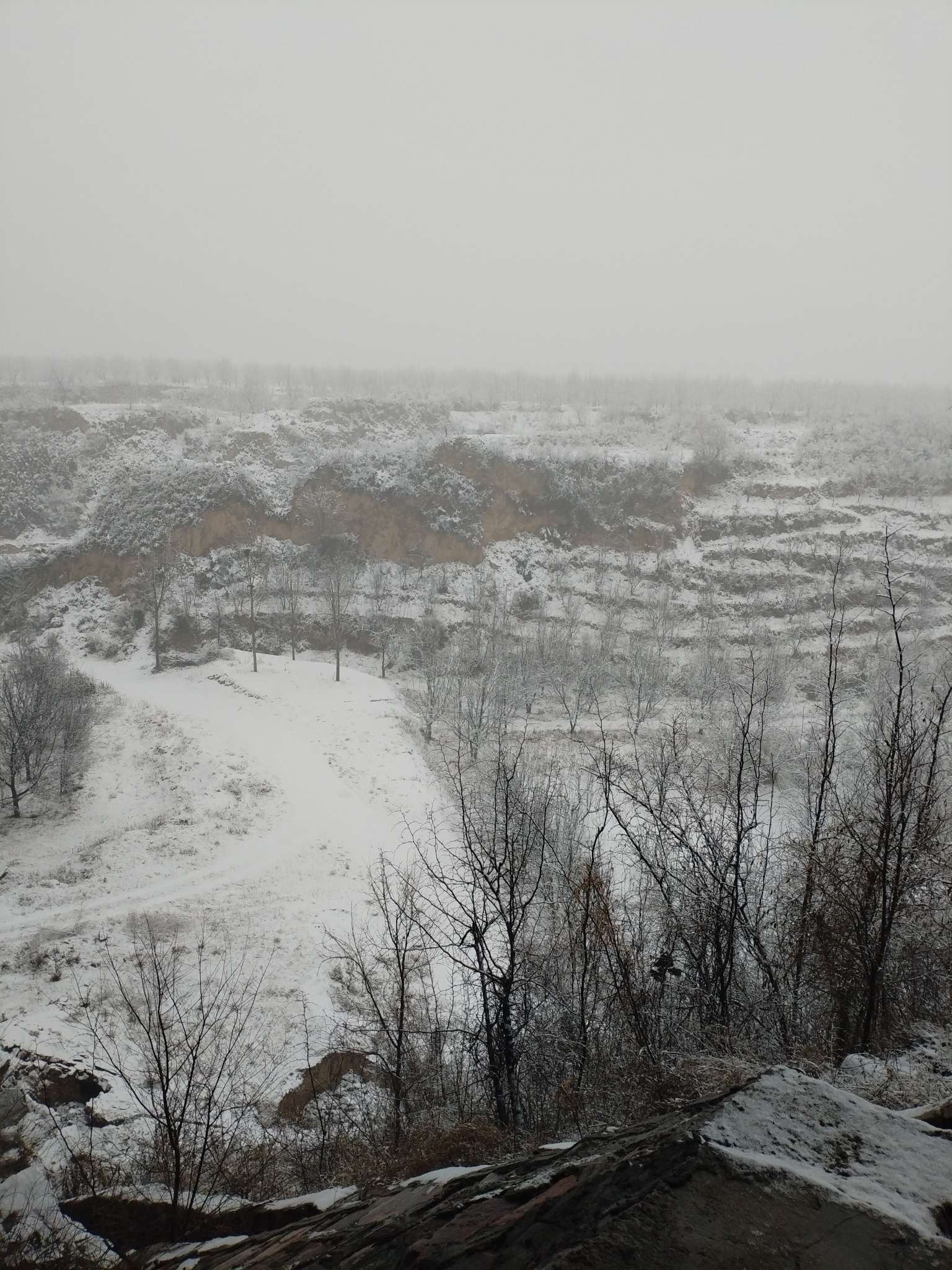 找台球唱歌生活搭子