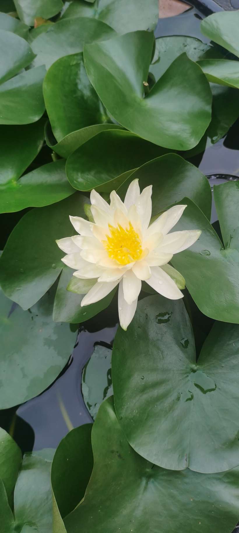 找运动聊天搭子