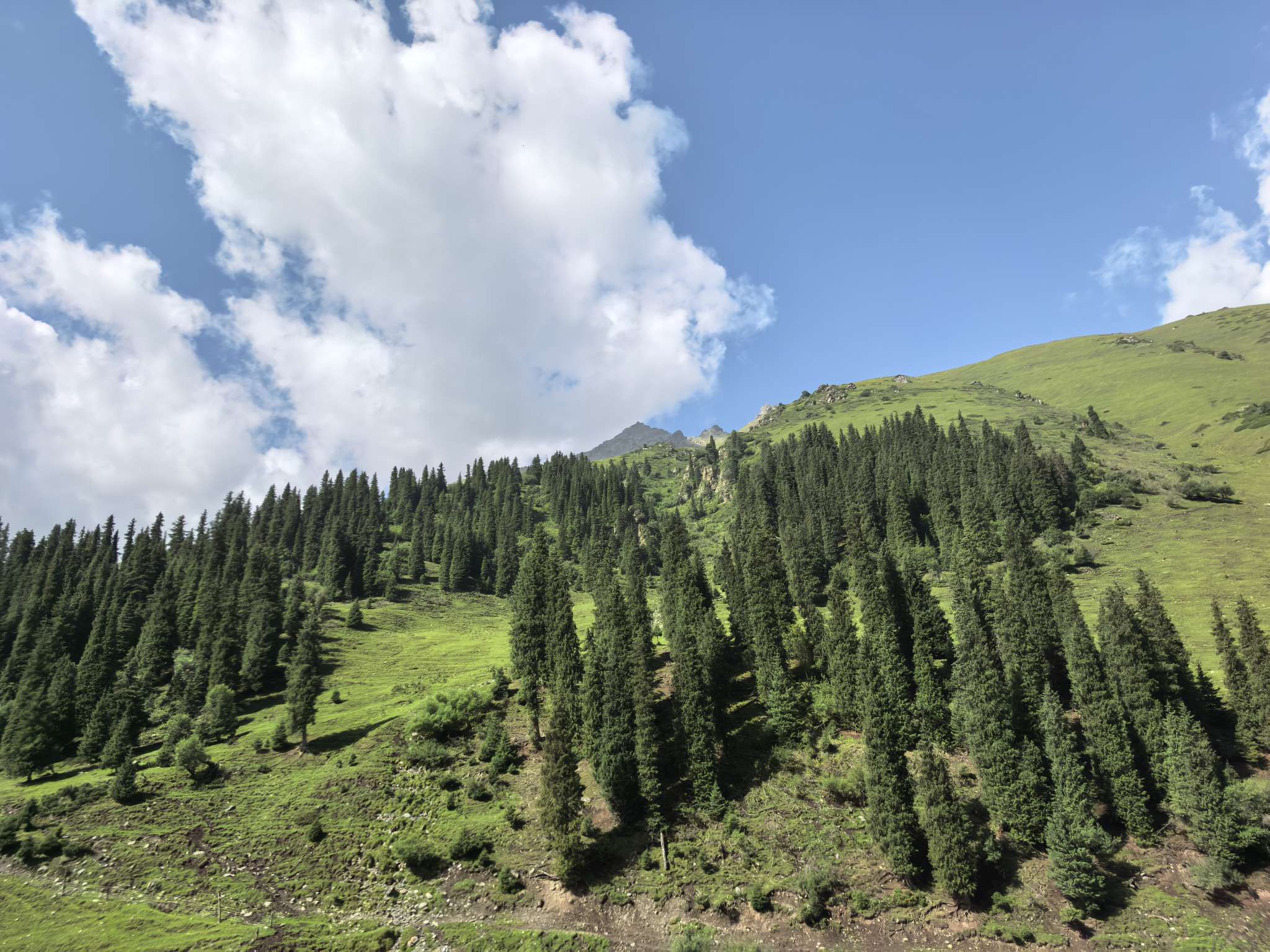 找玩游戏旅游搭子