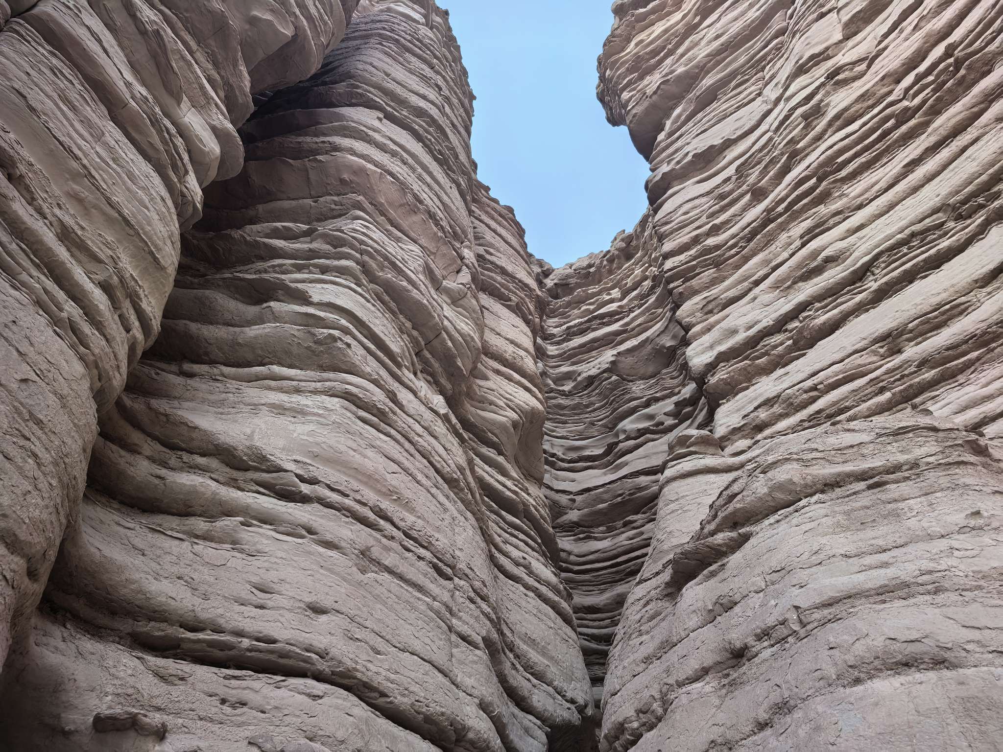 找玩游戏旅游搭子